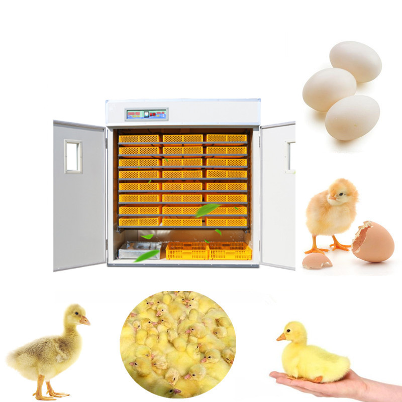Poultry Incubator 96 Eggs - Incubateur automatique d'œufs, contrôle numérique, surveillance