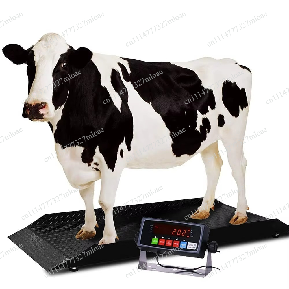 Cattle Weighing Scale Digital - Équipement de pesage numérique pour animaux