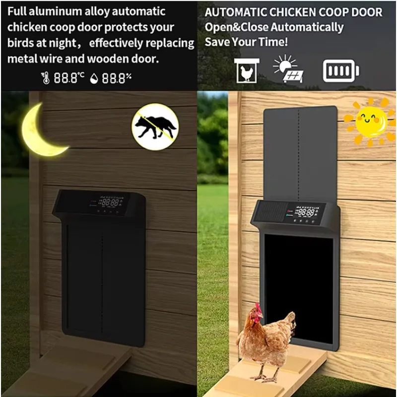 Automatic Chicken Door Opener Solar - 2026/Porte automatique de poulailler à détection,