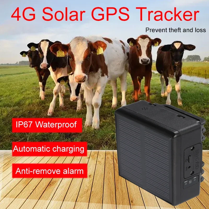 Animal Gps Tracker 4G Solar - RF-V26 Traceur GPS solaire 2G anti-perte