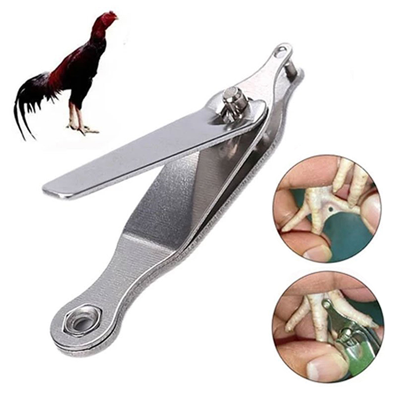 Cattle Ear Tag Applicator - Outil d'identification permanente des poulets, des