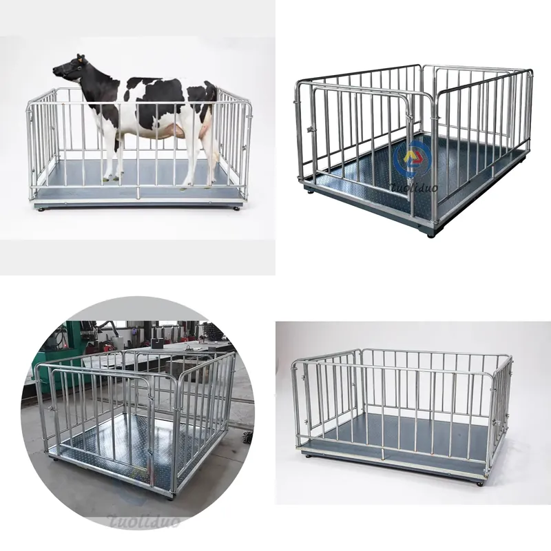 Cattle Weighing Scale Digital - Balance numérique pour bétail à prix