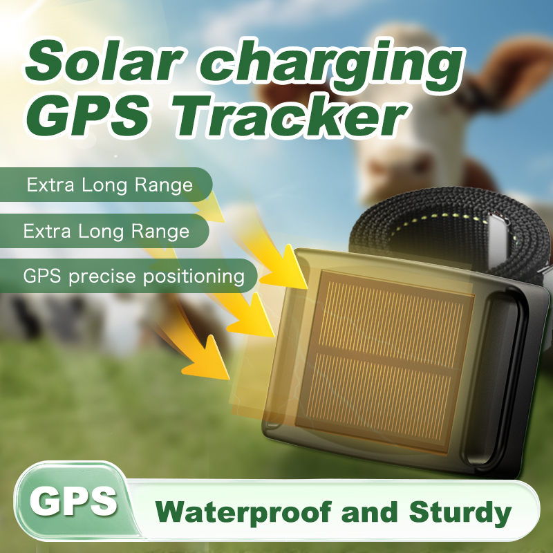 Animal Gps Tracker 4G Solar - Traceur GPS Solaire 4G 20000mAh pour