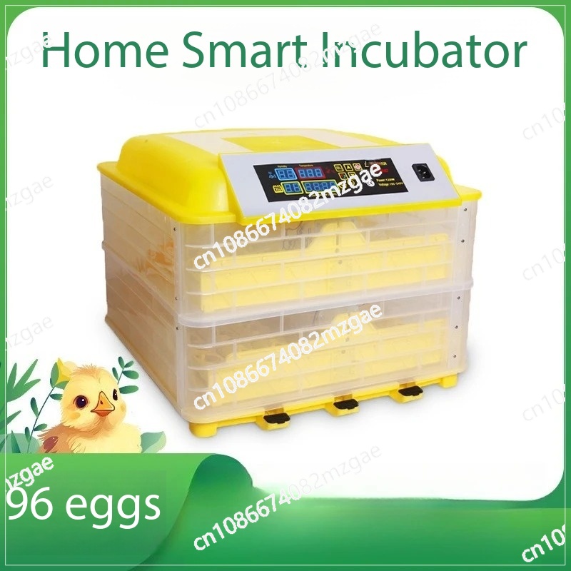 Mini incubateur entièrement au - Poultry Incubator 96 Eggs avis et prix