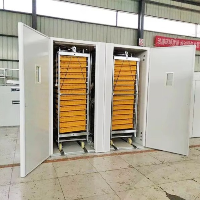Incubateur, machine automatiqu - Poultry Incubator 96 Eggs avis et prix