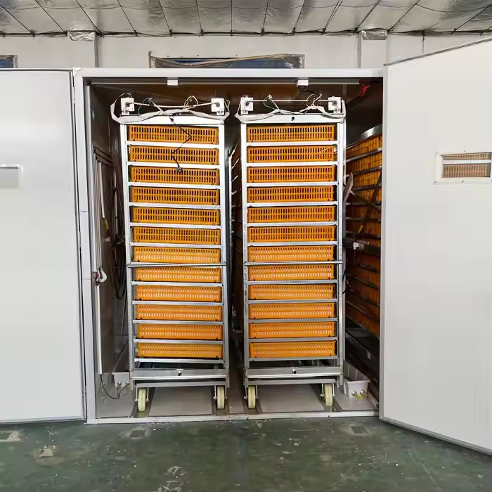 Incubateur, machine automatiqu - Poultry Incubator 96 Eggs avis et prix