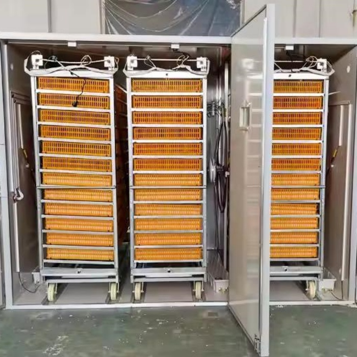 Incubateur, machine automatiqu - Poultry Incubator 96 Eggs avis et prix