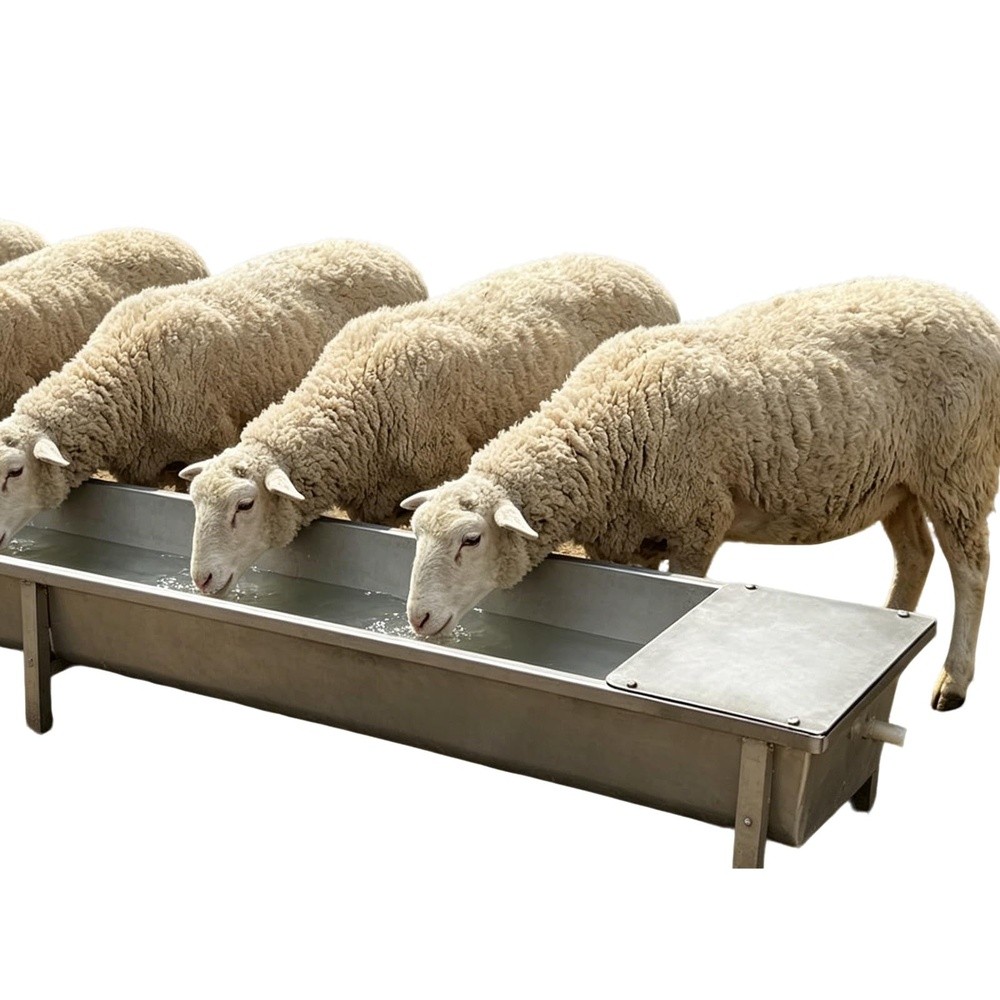 Goulottes à eau galvanisées ro - Livestock Water Trough Float Valve avis et prix