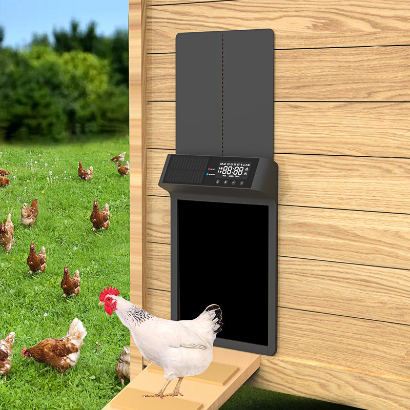 Ouvre-porte automatique pour p - Automatic Chicken Door Opener Solar avis et prix