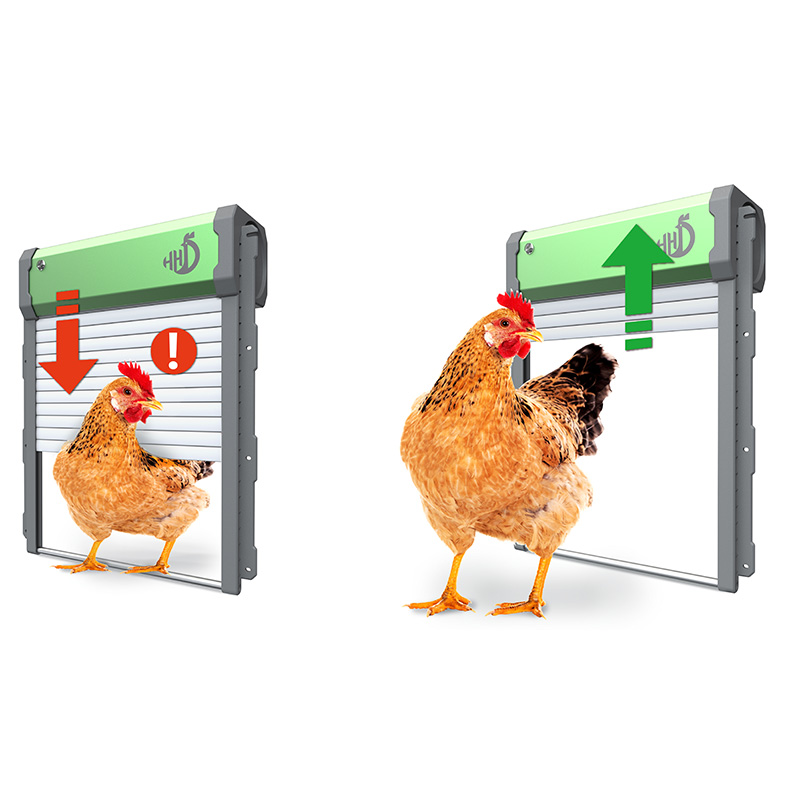WONEGG Ouvre-porte automatique - Automatic Chicken Door Opener Solar avis et prix