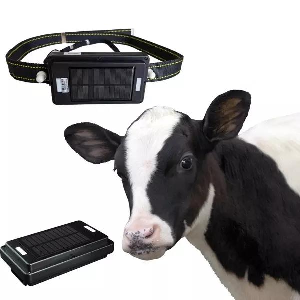 Traceur GPS 4G à énergie solai - Animal Gps Tracker 4G Solar avis et prix