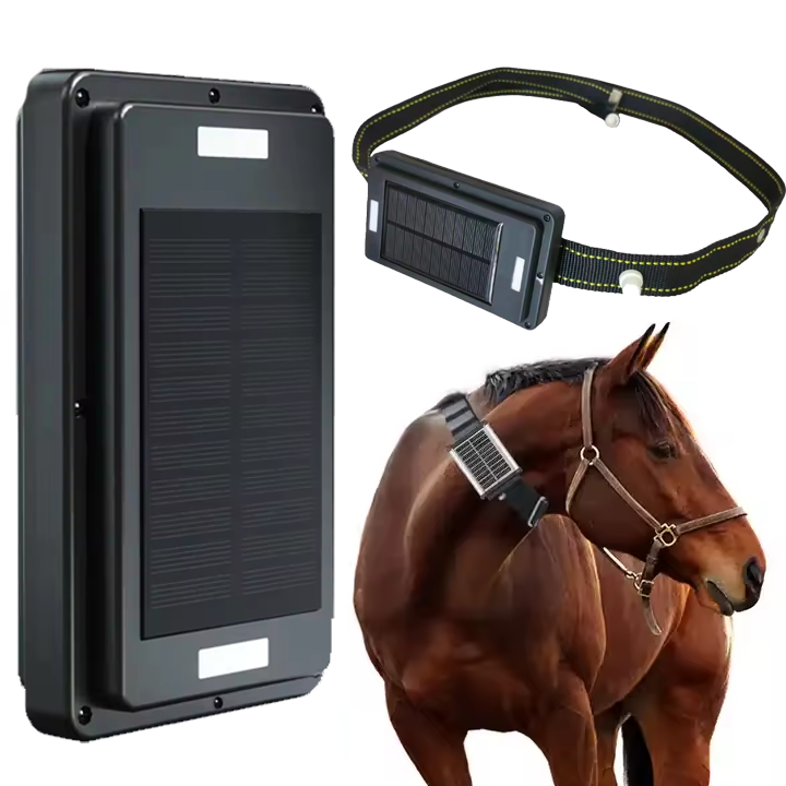 Traceur GPS 4G à énergie solai - Animal Gps Tracker 4G Solar avis et prix