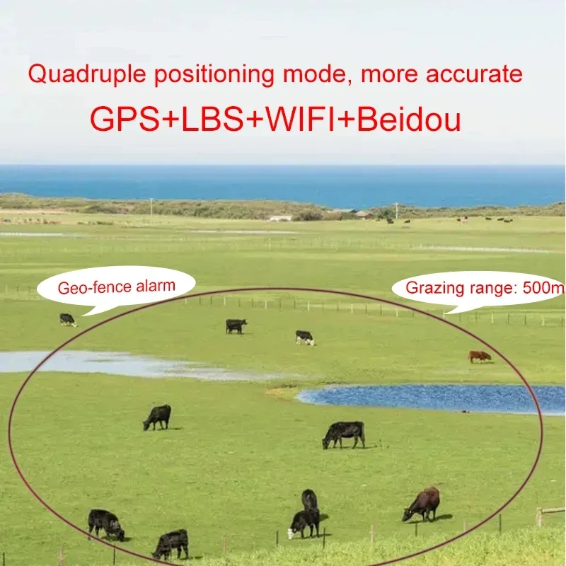 Localisateur solaire en temps  - Animal Gps Tracker 4G Solar avis et prix