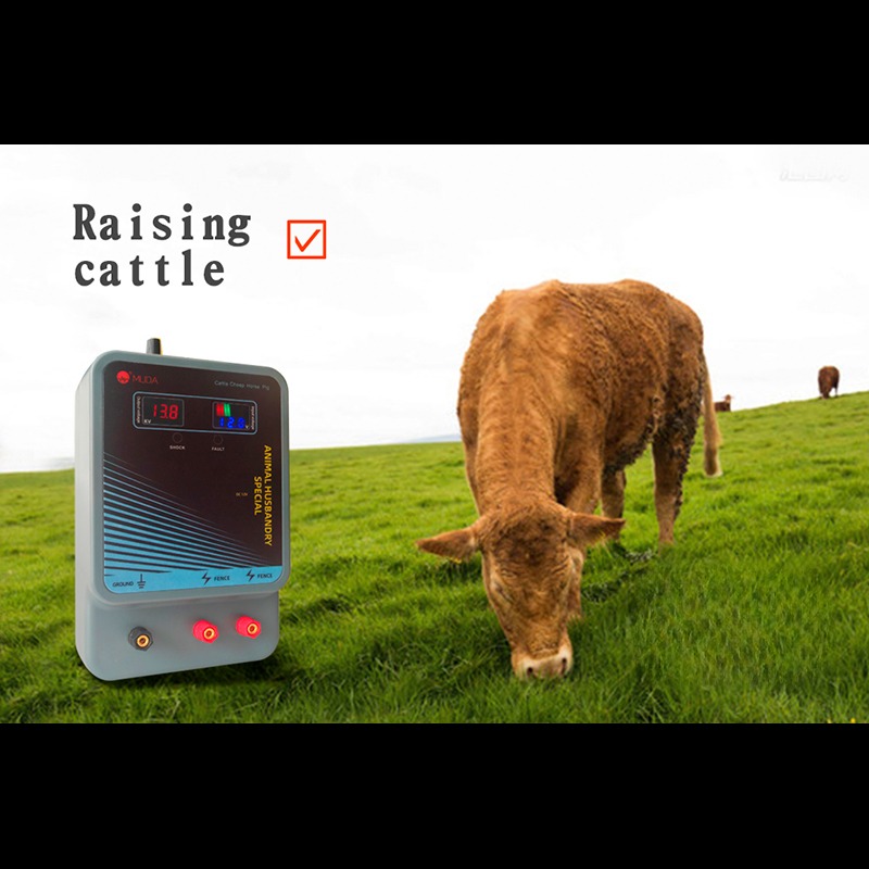 Energiseur de chargeur de clôt - Livestock Fence Energizer 12V avis et prix