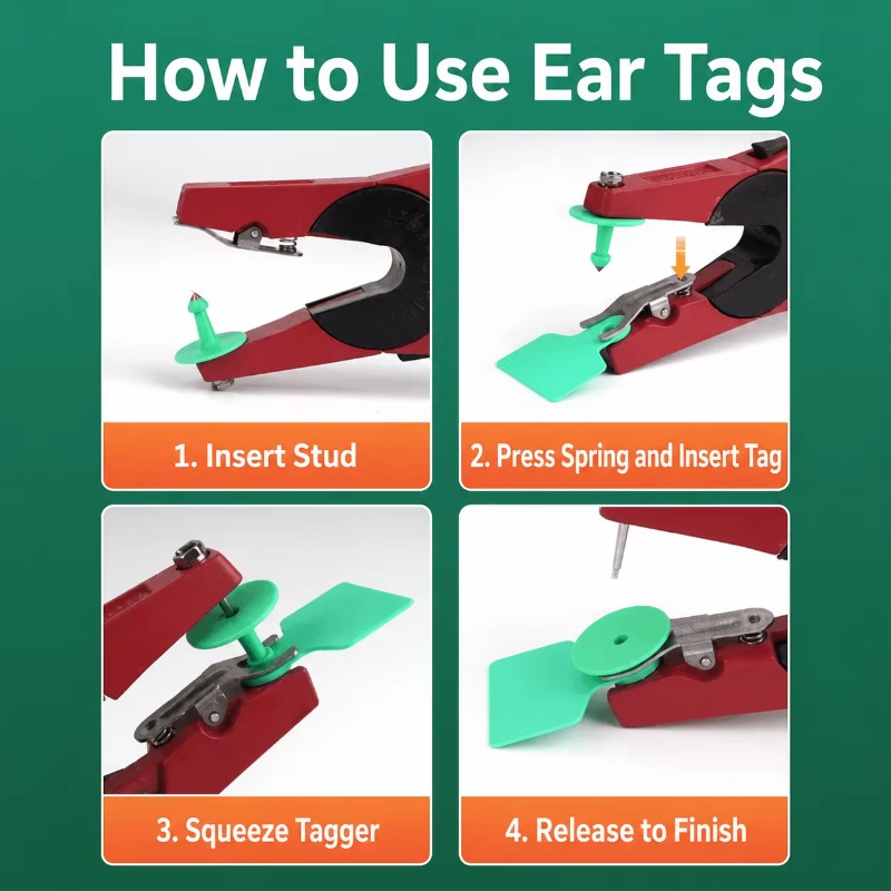 Applicateur d'étiquettes auric - Cattle Ear Tag Applicator avis et prix