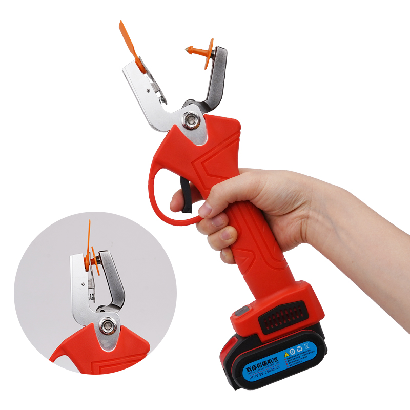Outil d'installation d'étiquet - Cattle Ear Tag Applicator avis et prix