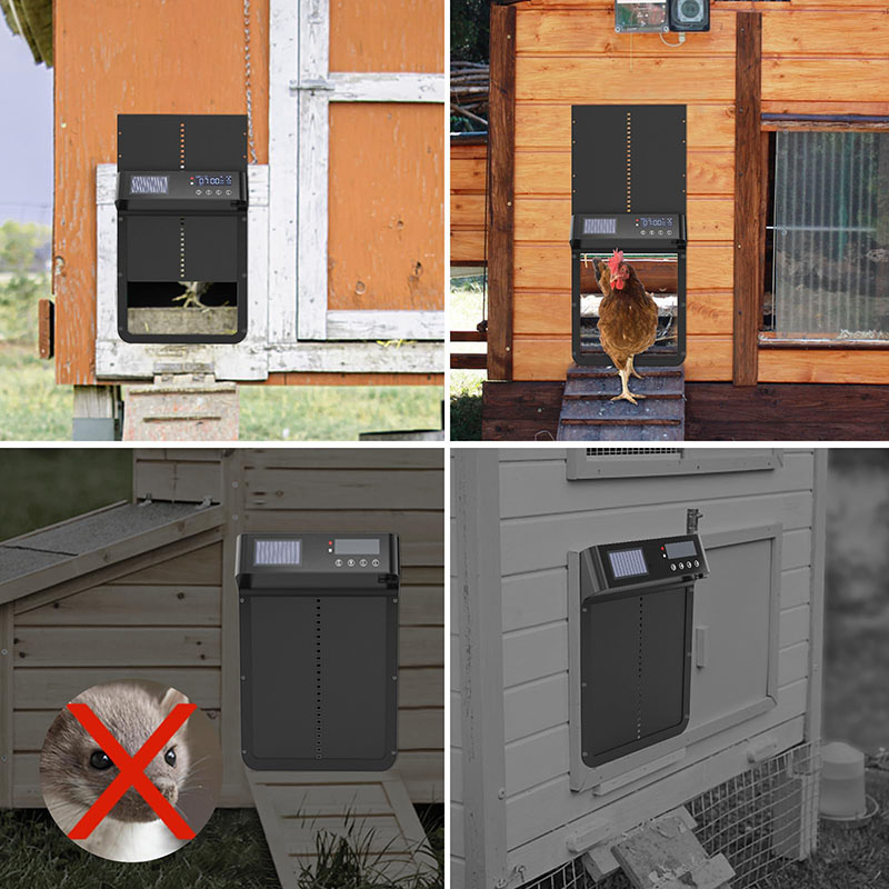 Porte automatique de poulaille - Automatic Chicken Door Opener Solar avis et prix