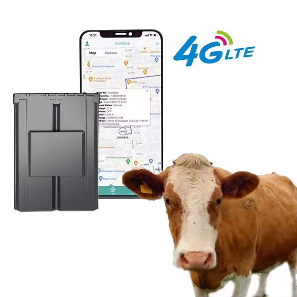 Étiquette d'oreille personnali - Animal Gps Tracker 4G Solar avis et prix