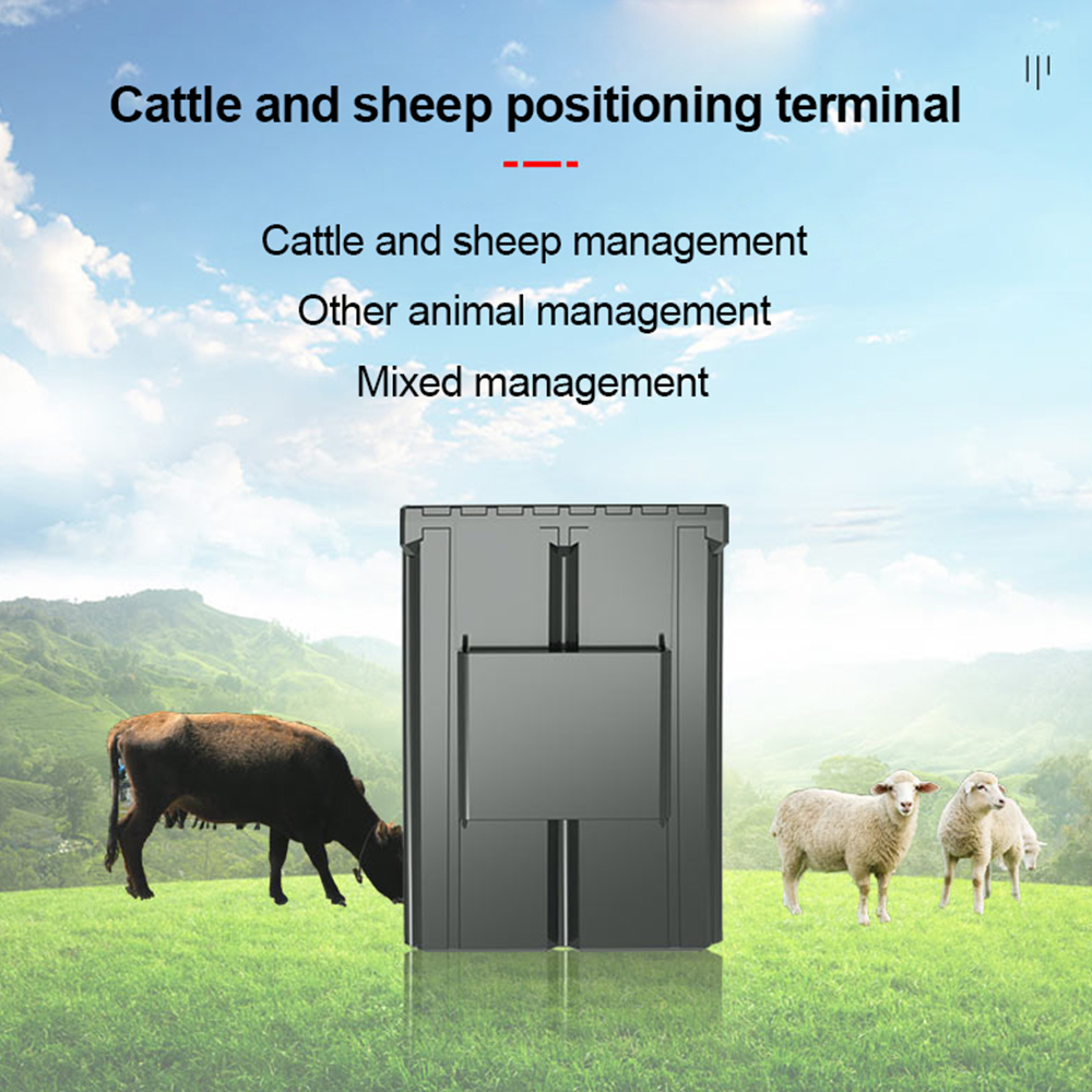 Étiquette d'oreille personnali - Animal Gps Tracker 4G Solar avis et prix