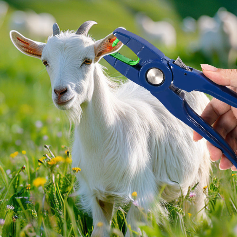 100 pièces étiquette d'oreille - Cattle Ear Tag Applicator avis et prix