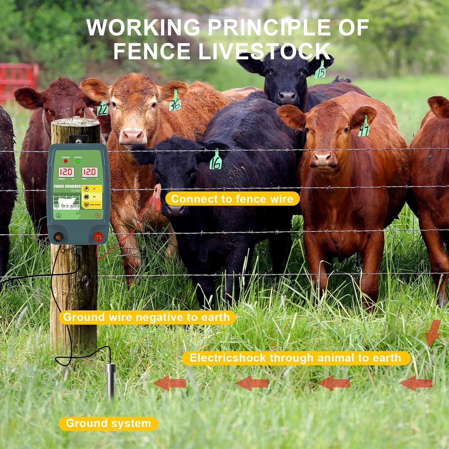 Électrificateur de clôture éle - Livestock Fence Energizer 12V avis et prix