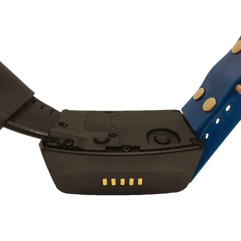 Collier GPS pour dispositif de - Gps Tracker Cattle Collar avis et prix