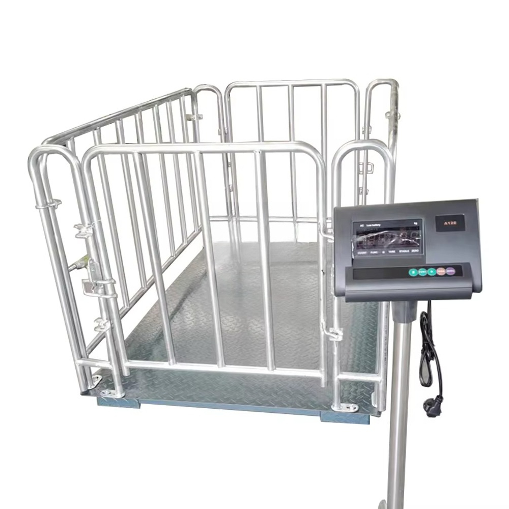 Balance numérique pour bétail, - Cattle Weighing Scale Digital avis et prix