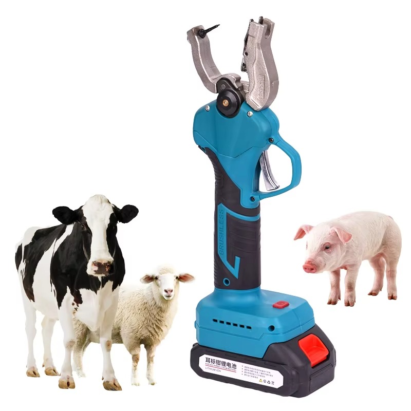 Applicateur d'étiquettes auric - Cattle Ear Tag Applicator avis et prix