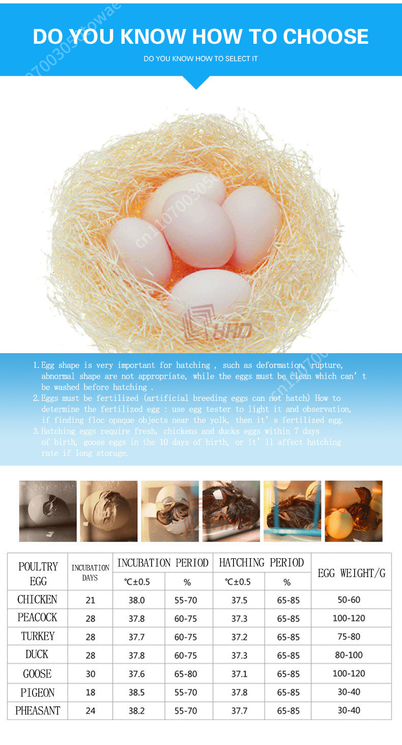 Incubateur automatique pour 96 - Poultry Incubator 96 Eggs avis et prix