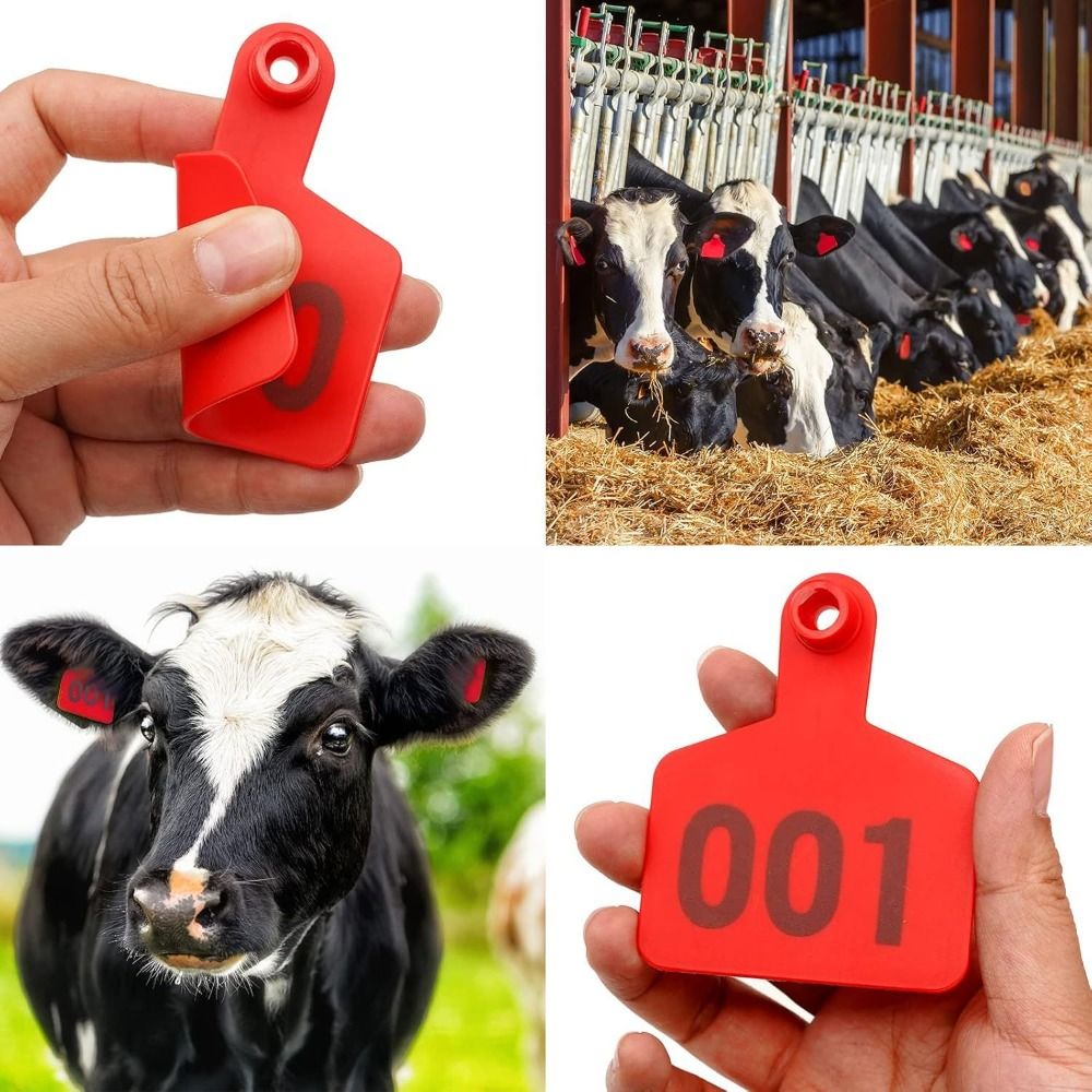 100 étiquettes d'identificatio - Cattle Ear Tag Applicator avis et prix