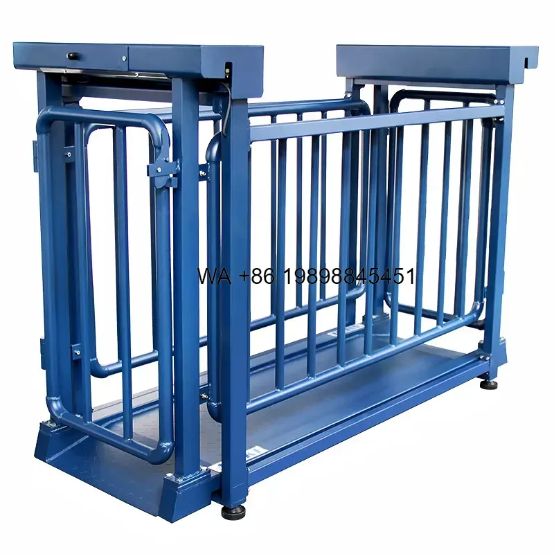 Plateforme de pesage au sol po - Cattle Weighing Scale Digital avis et prix