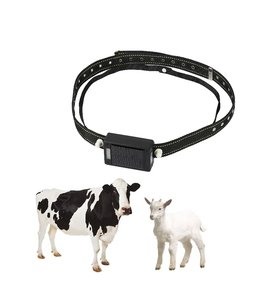 Traceur GPS intelligent pour a - Animal Gps Tracker 4G Solar avis et prix