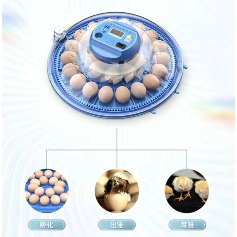 Incubateur d'œufs de poulet Qi - Poultry Incubator 96 Eggs avis et prix