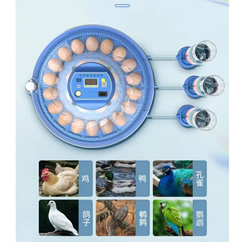 Incubateur d'œufs de poulet Qi - Poultry Incubator 96 Eggs avis et prix
