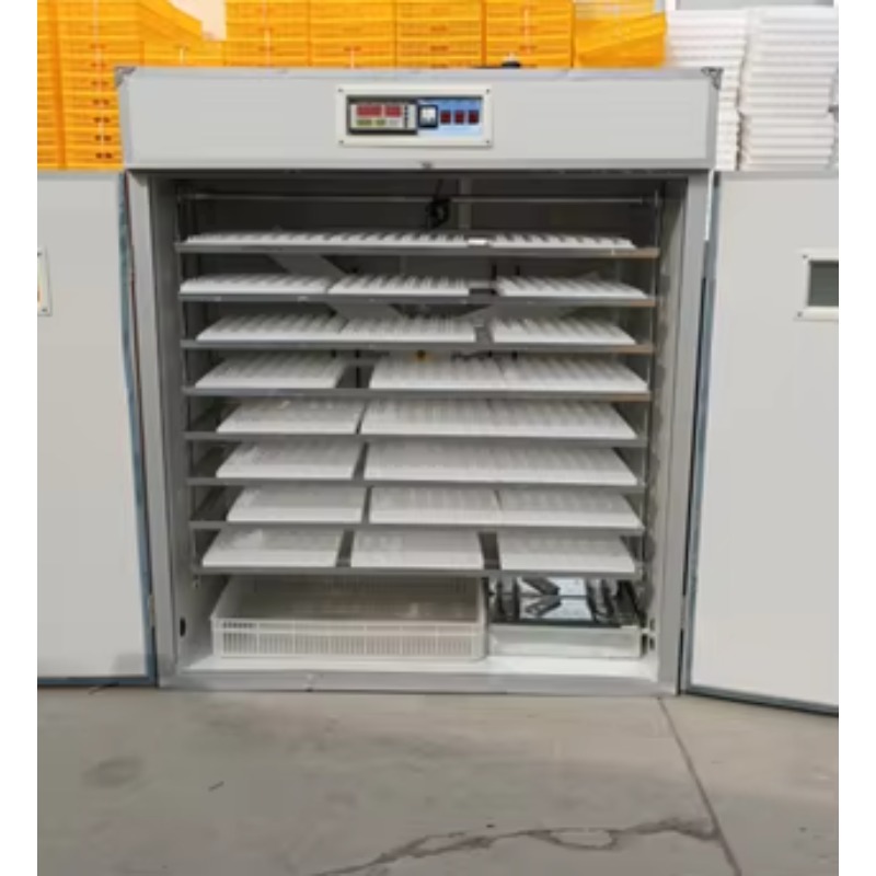 Incubateur d'œufs de poulet Qi - Poultry Incubator 96 Eggs avis et prix