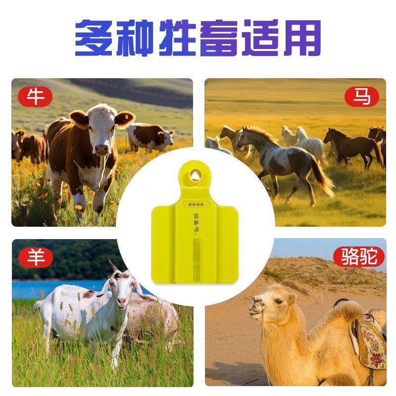 Traceur d'oreille 4G GPS Beido - Livestock Ear Tag Gps Tracker avis et prix
