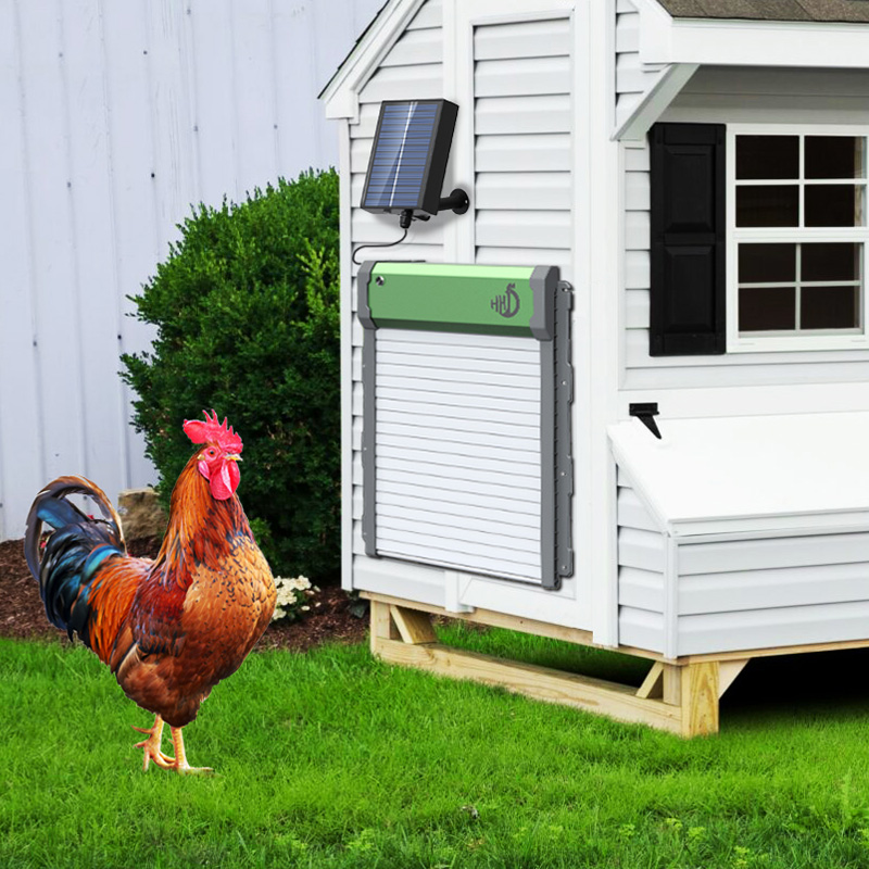 Ouvre-porte automatique pour p - Automatic Chicken Door Opener Solar avis et prix