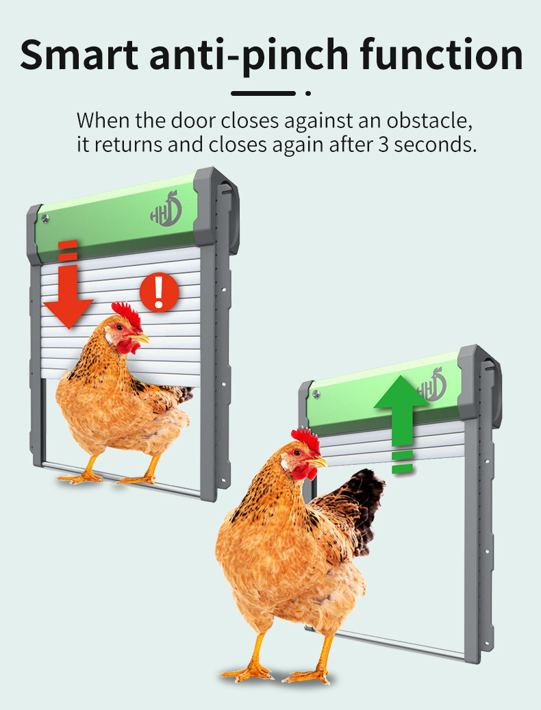 Ouvre-porte automatique pour p - Automatic Chicken Door Opener Solar avis et prix