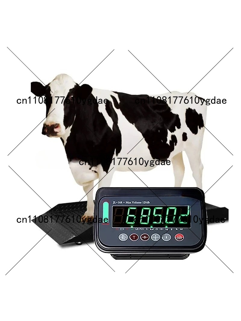 Contrôleur d'échelle de pesage - Cattle Weighing Scale Digital avis et prix