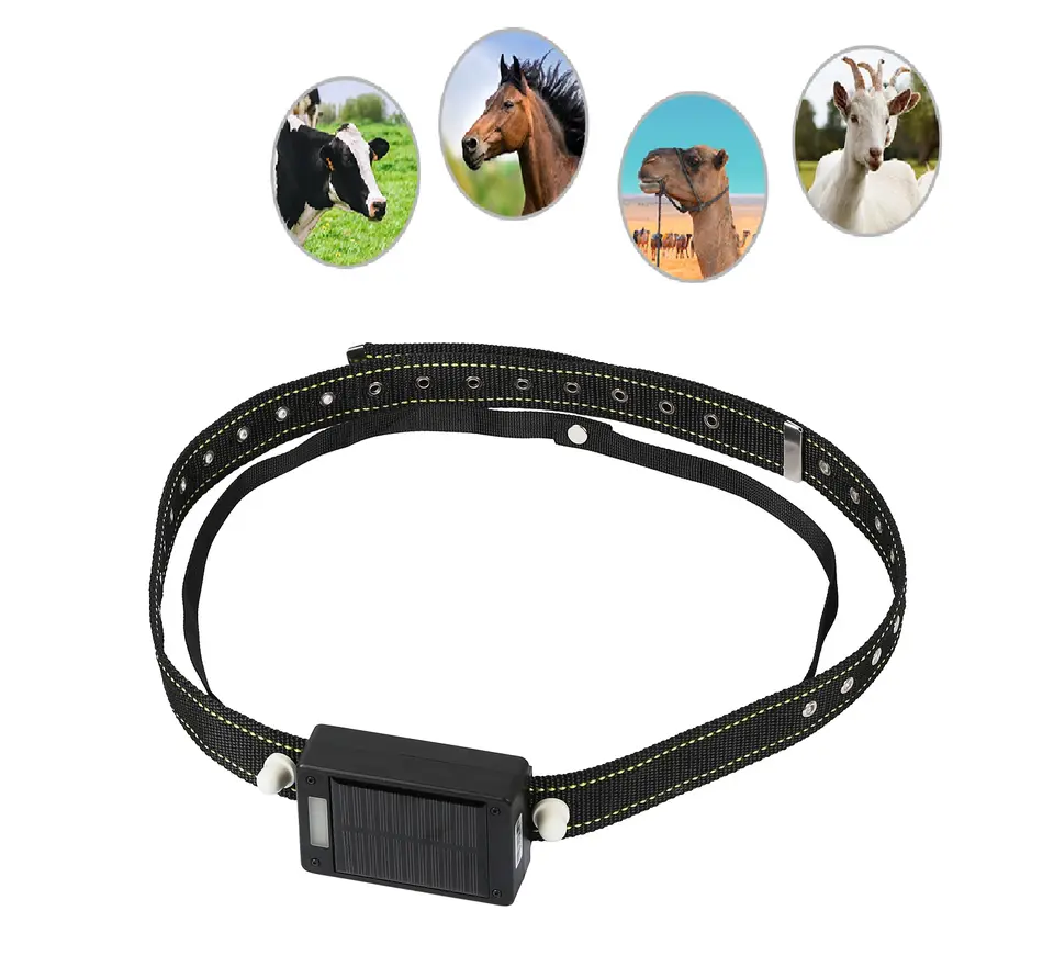 Traceur GPS solaire 10000mAh p - Animal Gps Tracker 4G Solar avis et prix