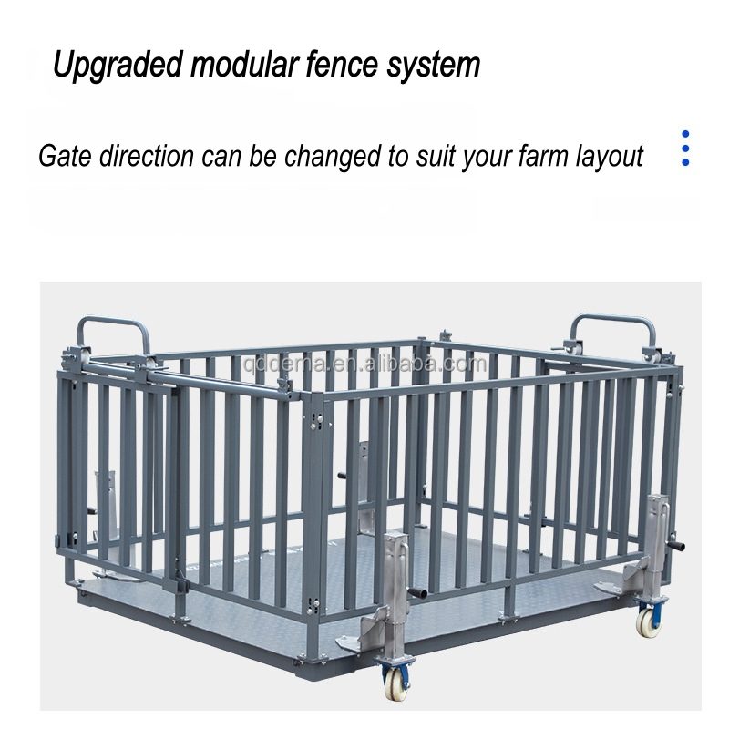 Balance de pesage pour bétail  - Cattle Weighing Scale Digital avis et prix