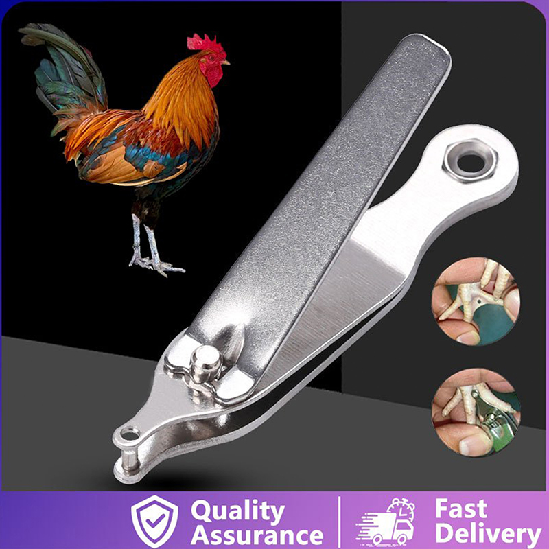 Outil d'identification permane - Cattle Ear Tag Applicator avis et prix