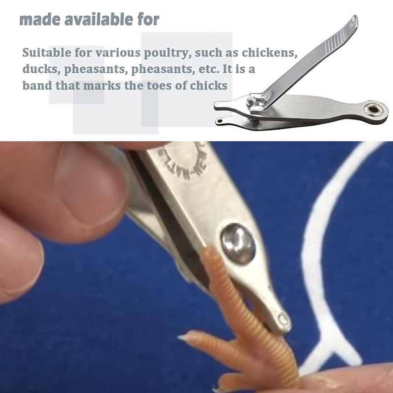 Outil d'identification permane - Cattle Ear Tag Applicator avis et prix