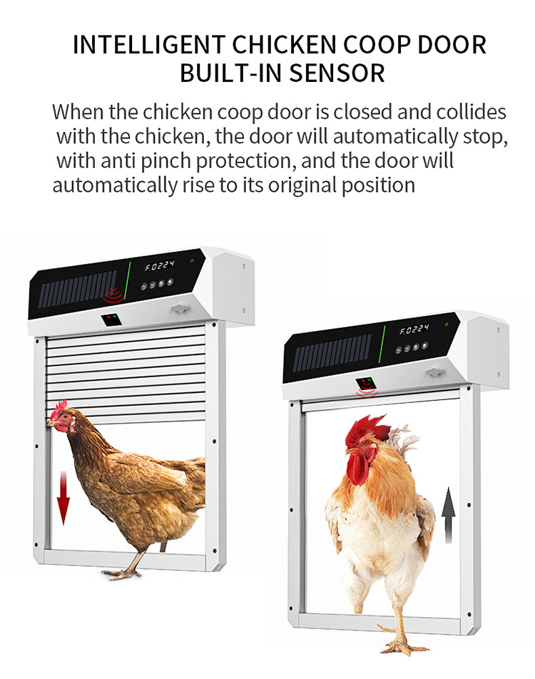 Ouvre-porte automatique pour p - Automatic Chicken Door Opener Solar avis et prix
