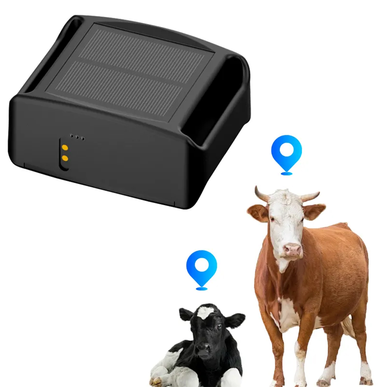 STLFQ19 Traceur GPS 4G étanche - Animal Gps Tracker 4G Solar avis et prix