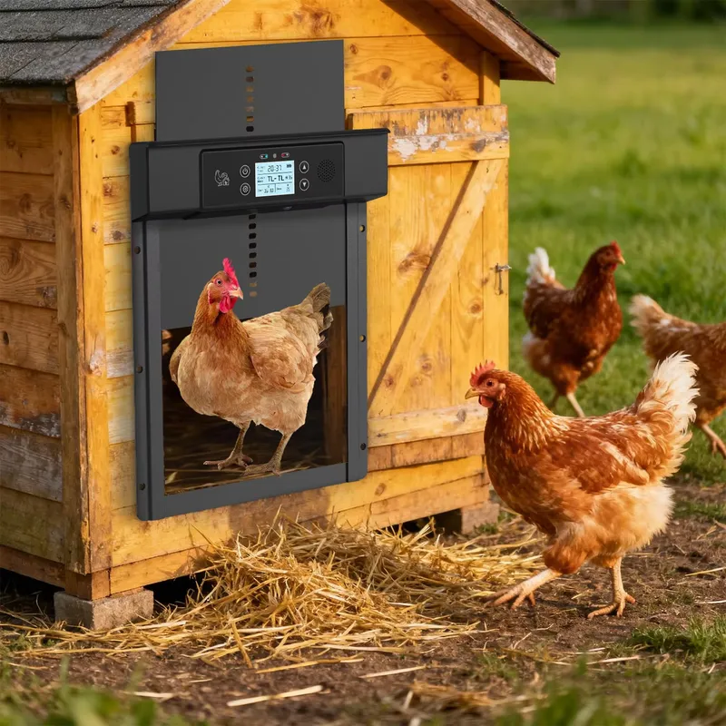 Ouvre-porte automatique intell - Automatic Chicken Door Opener Solar avis et prix