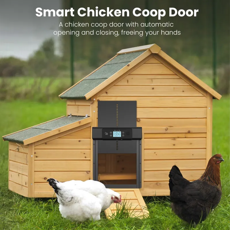 Ouvre-porte automatique intell - Automatic Chicken Door Opener Solar avis et prix