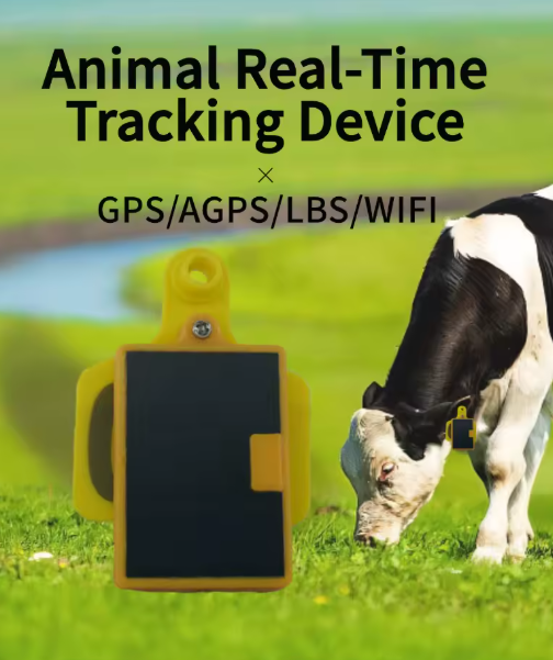 Traceur GPS Coofull pour bovin - Livestock Ear Tag Gps Tracker avis et prix